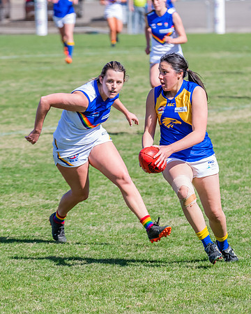 WPD Preliminary Final - East Coast v Sydney University - 21 Augu