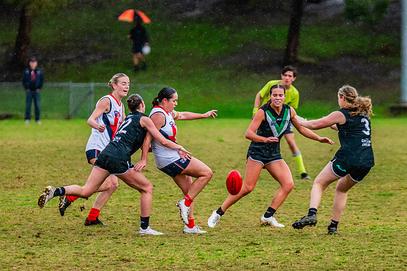 Rd 6 WPD - UTS v Pennant Hills - 11 May 2024