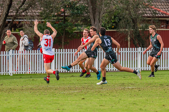 Rd 7 MPD - St George v UTS - 25 May 2024