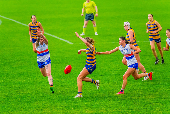 Rd 8 WPD - UNSW-ES v Sydney Uni - 1 June 2024