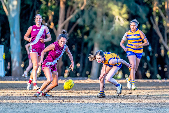 Rd 17 WPD - Manly Warringah v Sydney Uni - 16 August 2025