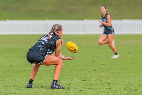 Rd 7 WPD - St George v UTS - 25 May 2024