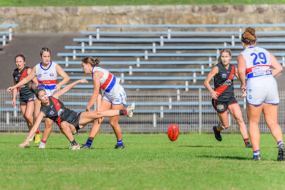 Rd 6 WPD - UNSW ES v North Shore - 14 May 2022