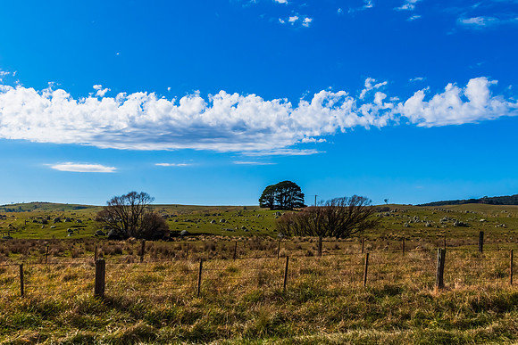 Countryside in Winter around Braidwood