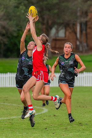 Rd 7 WPD - St George v UTS - 25 May 2024