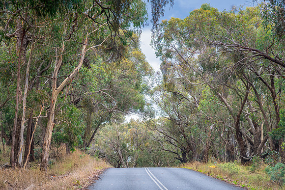 Road trip through the countryside with storm clouds and gum tree