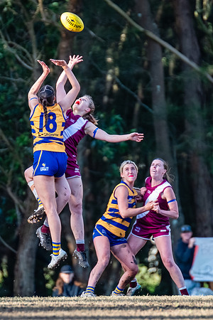 Rd 17 WPD - Manly Warringah v Sydney Uni - 16 August 2025