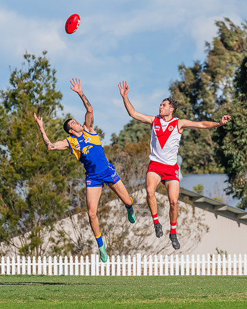 Rd 17 MPD - East Coast v St George - 17 August 2024