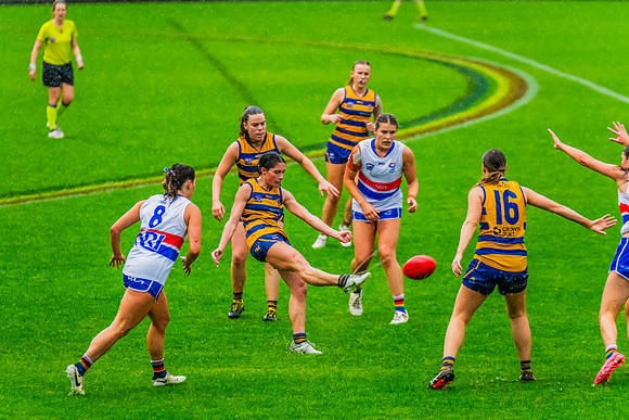 Rd 8 WPD - UNSW-ES v Sydney Uni - 1 June 2024