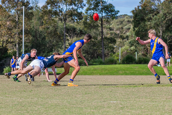 Black Diamond Plate Men's Nelson Bay v Newcastle City - 17 Septe