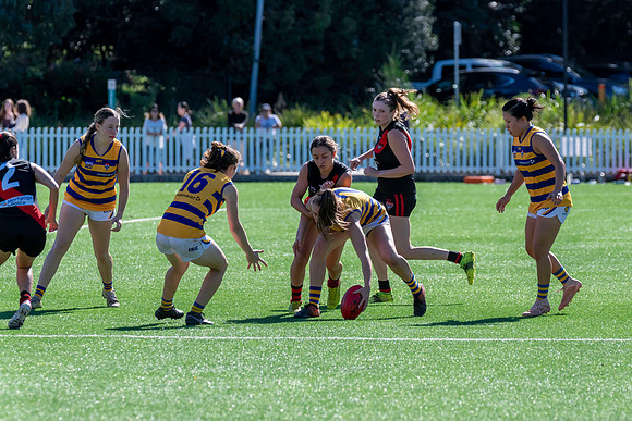 Rd 3 WPD - North Shore v Sydney Uni - 23 April 2022