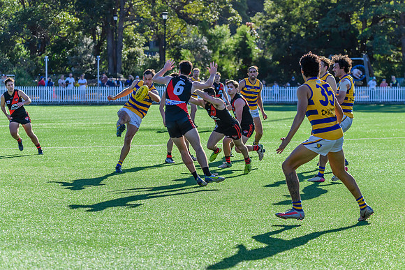 Rd 3 MPD - North Shore v Sydney Uni - 23 April 2022