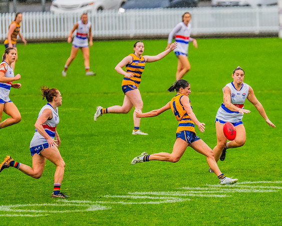 Rd 8 WPD - UNSW-ES v Sydney Uni - 1 June 2024