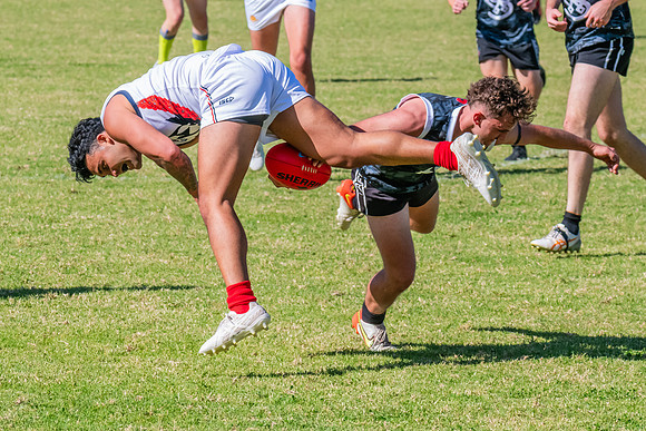 Rd 4 MPD - Inner West v Pennant Hills - 25 April 2024