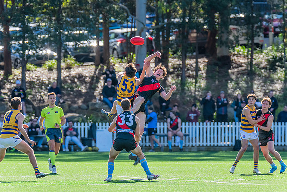Rd 15 MPD - North Shore v Sydney Uni - 3 August 2024