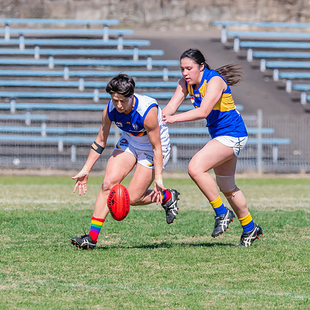 WPD Preliminary Final - East Coast v Sydney University - 21 Augu