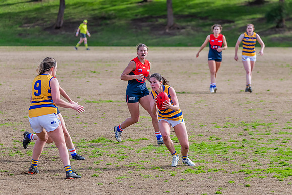 Rd 14 WPD - Pennant Hills v Sydney Uni - 16 July 2022