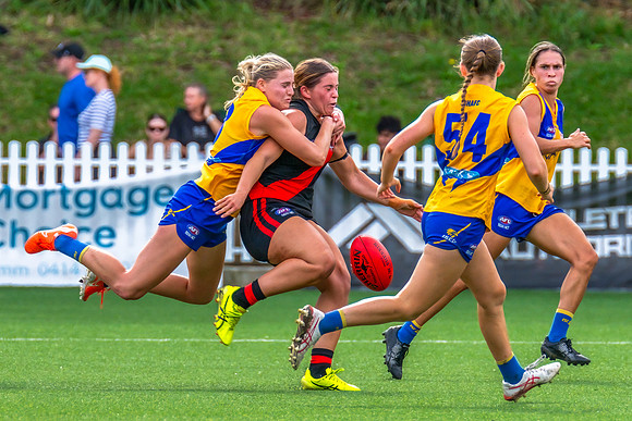 Rd 4 WPD - North Shore v East Coast - 26 April 2025