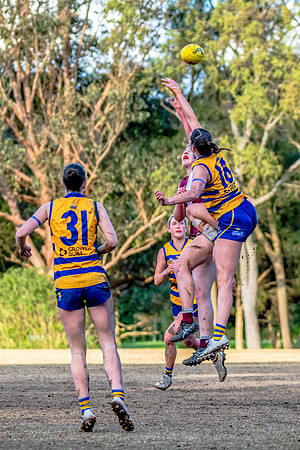 Rd 17 WPD - Manly Warringah v Sydney Uni - 16 August 2025
