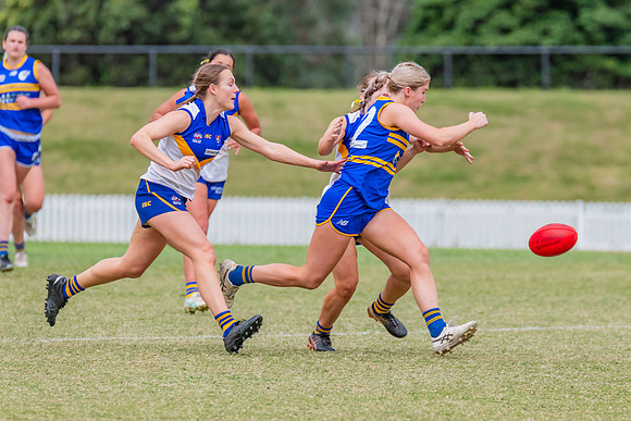 WPD Semi Final - Parramatta v Sydney Uni - 8 September 2024