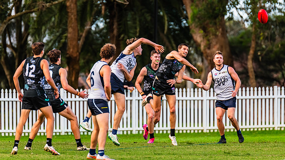 Rd 8 MPD - UTS v SWS - 31 May 2025
