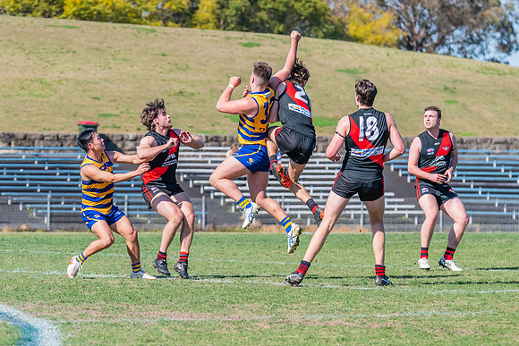 MPD Reserves Major Semi Final - Sydney University v North Shore