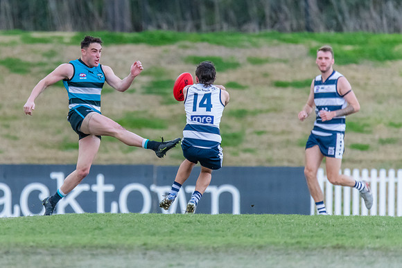 Platinum Div Preliminary Final - Southern Power v Camden Cats -