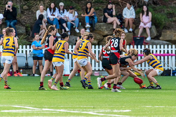 Rd 3 WPD - North Shore v Sydney Uni - 23 April 2022