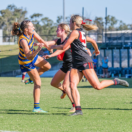 WPD Elimination Final - North Shore v Sydney Uni - 1 September 2