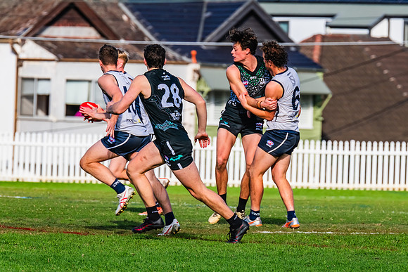 Rd 8 MPD - UTS v SWS - 31 May 2025