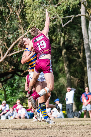 Rd 17 MPD - Manly Warringah v Sydney Uni - 16 August 2025