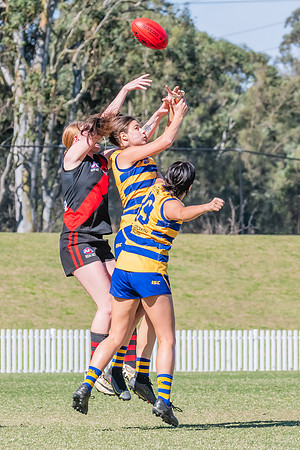 WPD Elimination Final - North Shore v Sydney Uni - 1 September 2