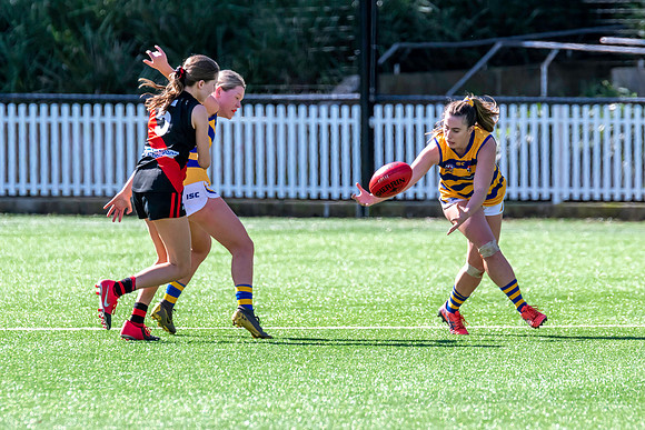 Rd 3 WPD - North Shore v Sydney Uni - 23 April 2022