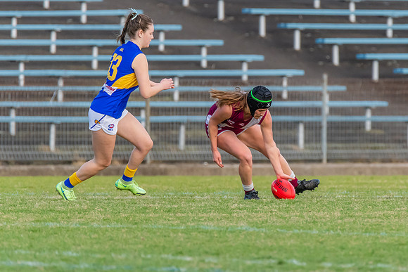 WPD Major Semi Final - East Coast v Manly Warringah - 14 August 2022
