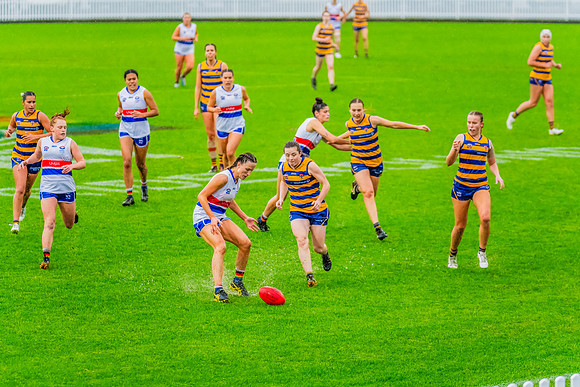 Rd 8 WPD - UNSW-ES v Sydney Uni - 1 June 2024