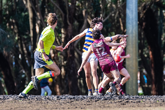 Rd 17 MPD - Manly Warringah v Sydney Uni - 16 August 2025
