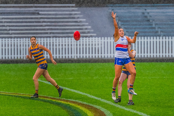 Rd 8 WPD - UNSW-ES v Sydney Uni - 1 June 2024