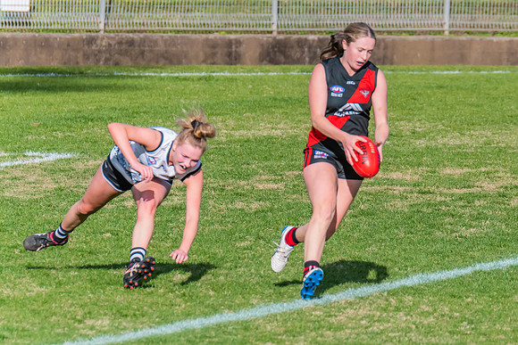 WPD Elimination Final - North Shore v Inner West - 7 August 2022