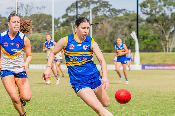 WPD Semi Final - Parramatta v Sydney Uni - 8 September 2024