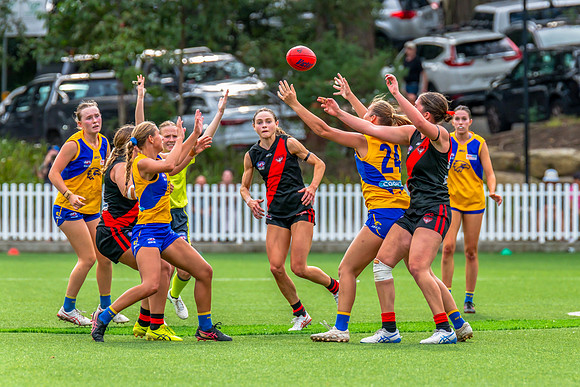 Rd 4 WPD - North Shore v East Coast - 26 April 2025