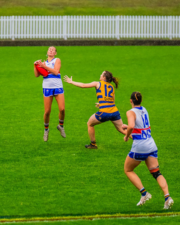 Rd 8 WPD - UNSW-ES v Sydney Uni - 1 June 2024