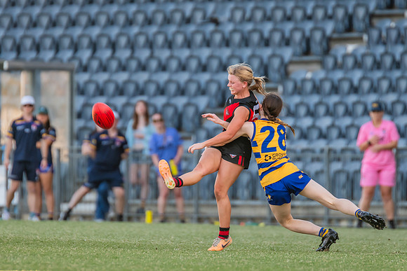 WPD Elimination Final - North Shore v Sydney Uni - 1 September 2