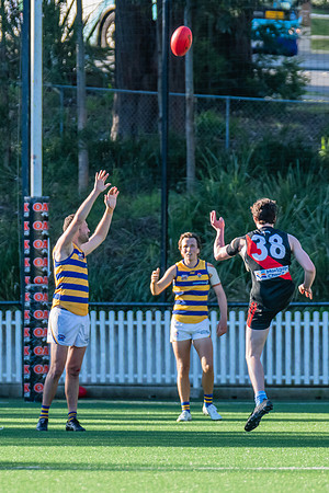 Rd 15 MPD - North Shore v Sydney Uni - 3 August 2024