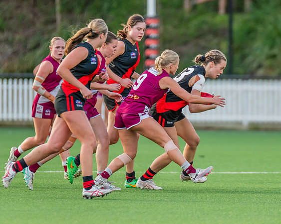 Rd 1 WPD - North Shore v Manly Warringah - 8 June 2024