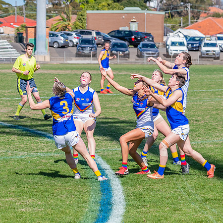WPD Preliminary Final - East Coast v Sydney University - 21 Augu