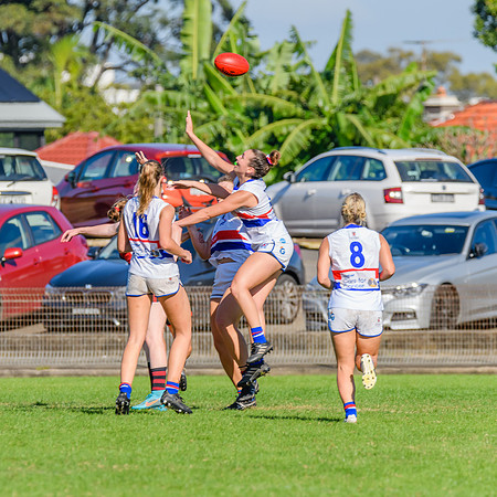 Rd 6 WPD - UNSW ES v North Shore - 14 May 2022