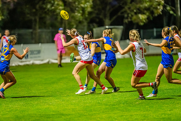 Rd 17 WPD - East Coast v St George - 17 August 2024