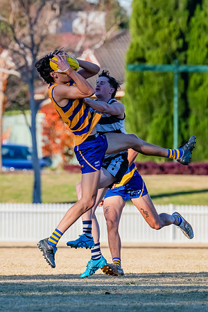 Rd 10 MD1 - Camden v Sydney Uni - 21 June 2025