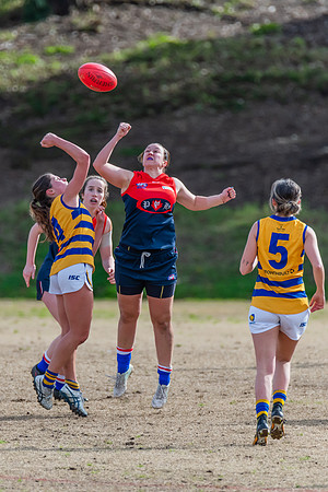 Rd 14 WPD - Pennant Hills v Sydney Uni - 16 July 2022