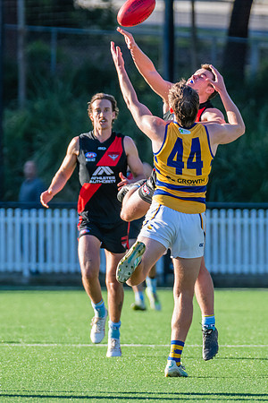 Rd 15 MPD - North Shore v Sydney Uni - 3 August 2024